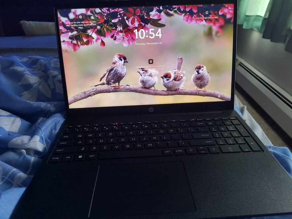HP Laptop 15