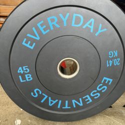 Bumper Weight Plates 45lb Pair