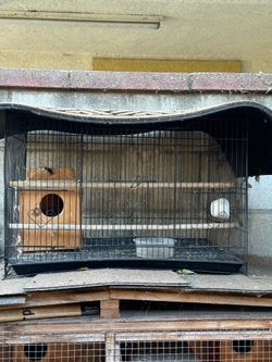 Cage