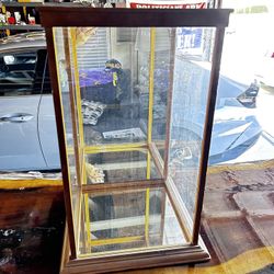 Glass Doll Case With Mirror And Wood Trim