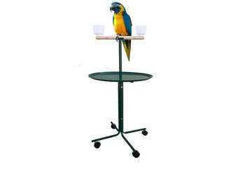 Large 23" Play T-Stand Perch Metal Base Parrot Bird Cage Amazon African Grey Macaw Cockatoo (23", Green)(16)