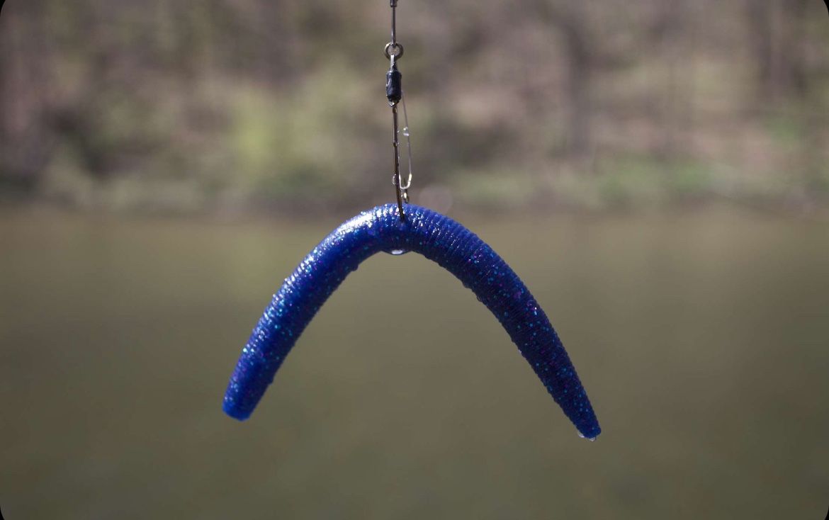 soft plastic fishing lure (june bug)