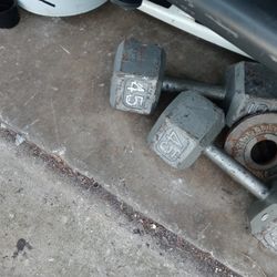 45lb dumbells