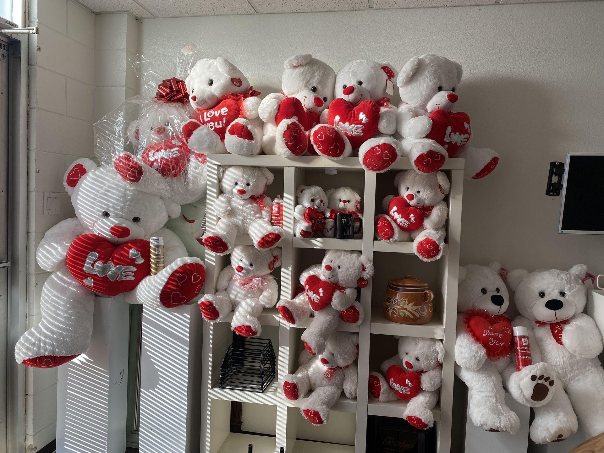 New Teddy Bears