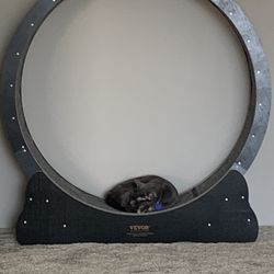 42 In Cat Wheel