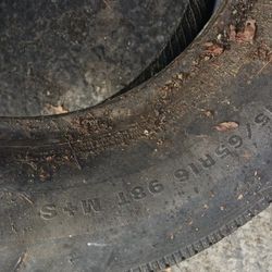 14'' Free Tire