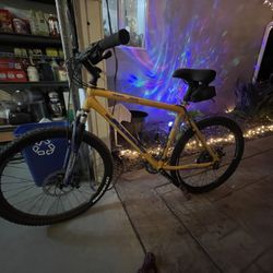 Jamis Eureka Mountain Bike