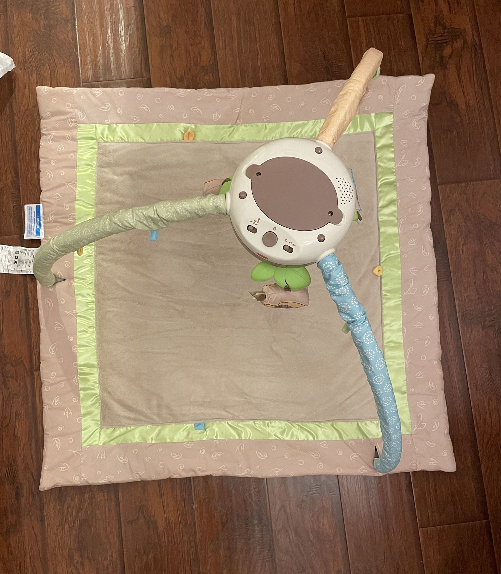 fisher-price musical gym play mat