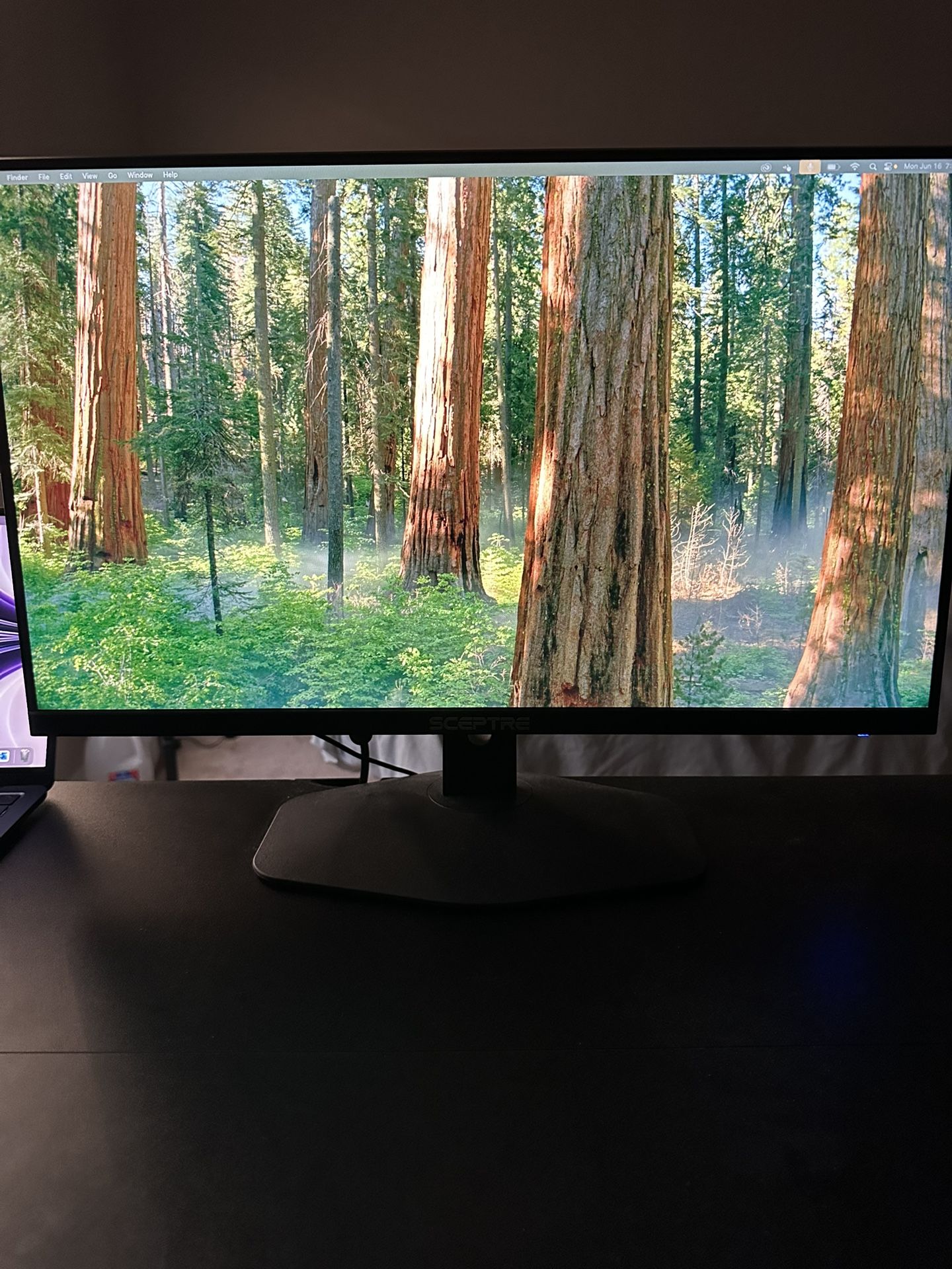 Sceptre 24" 100Hz Gaming Monitor- Like New