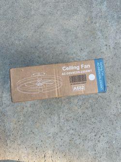 Ceiling fan