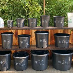 Nursery Pots ~ All Sizes ~ Inventory Clearance