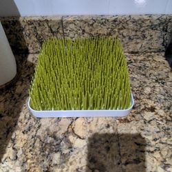 Bottle Grass  Drying Rack