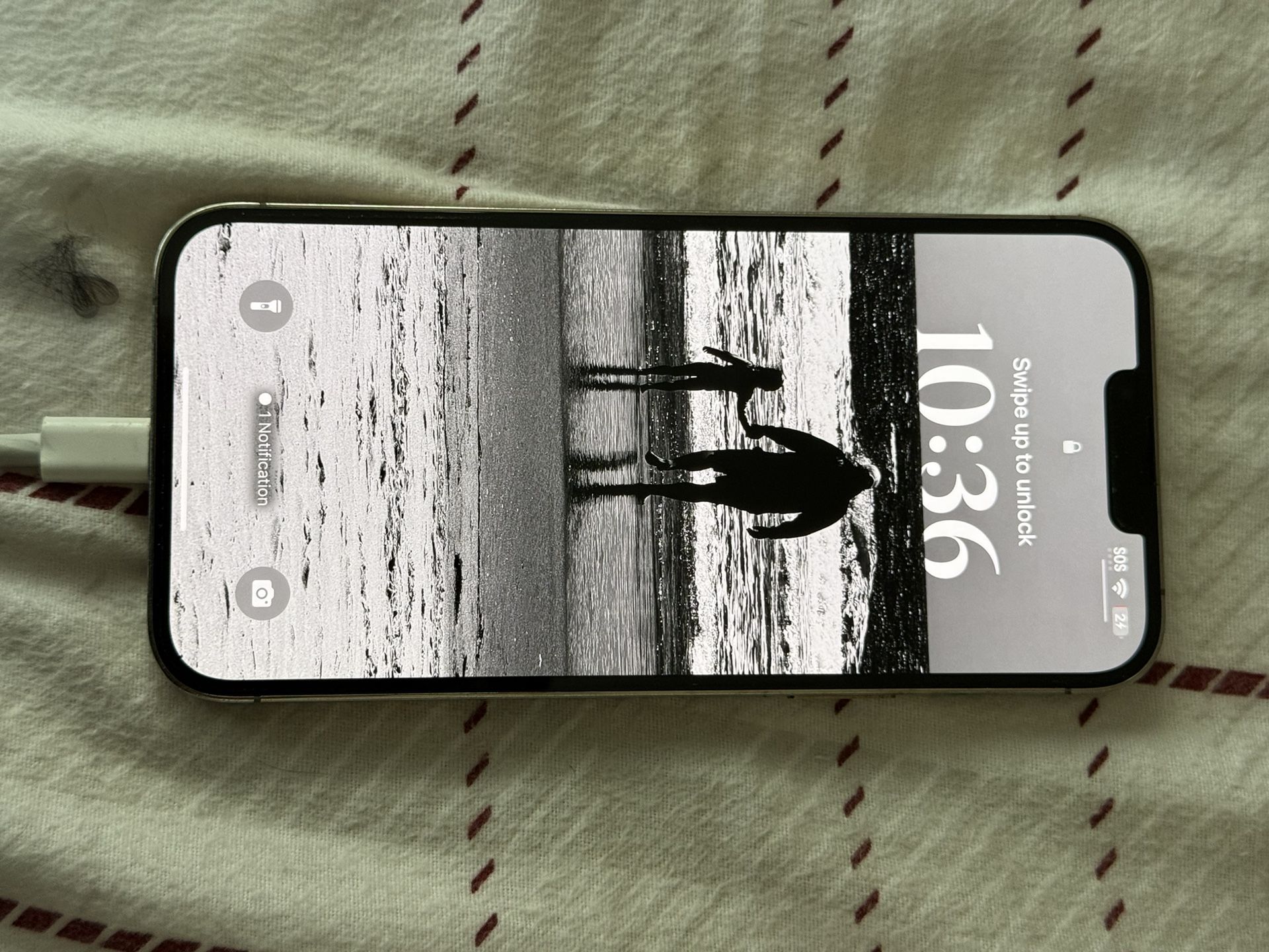 iPhone 13 Pro Max 256gb