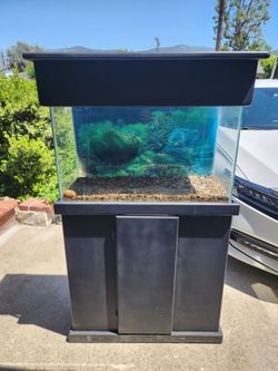 29 Gallon Fish Tank with Stand and Hood