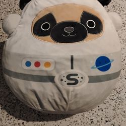 Squish mellow space Pug