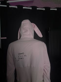 Pink Bunny Ear Hoodie with Back Graphic