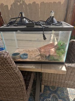 Reptile tank