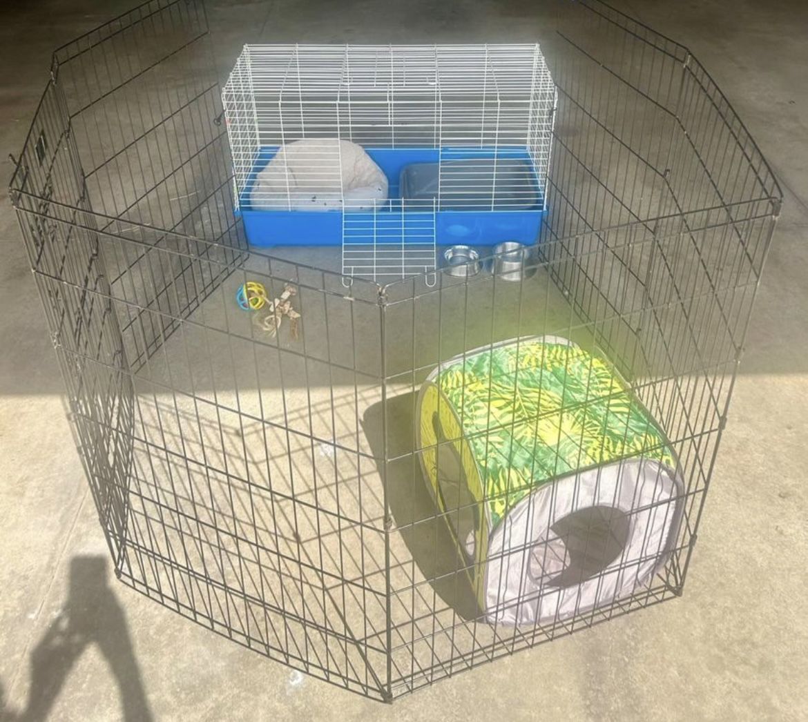 Rabbit Cage And Supplies
