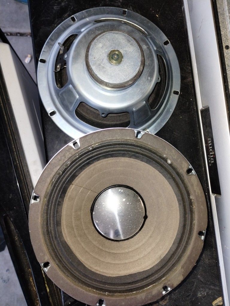 Vintage Guitar Speakers 8"