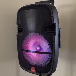 Speaker System - 15” Woofer - 3000 Watts