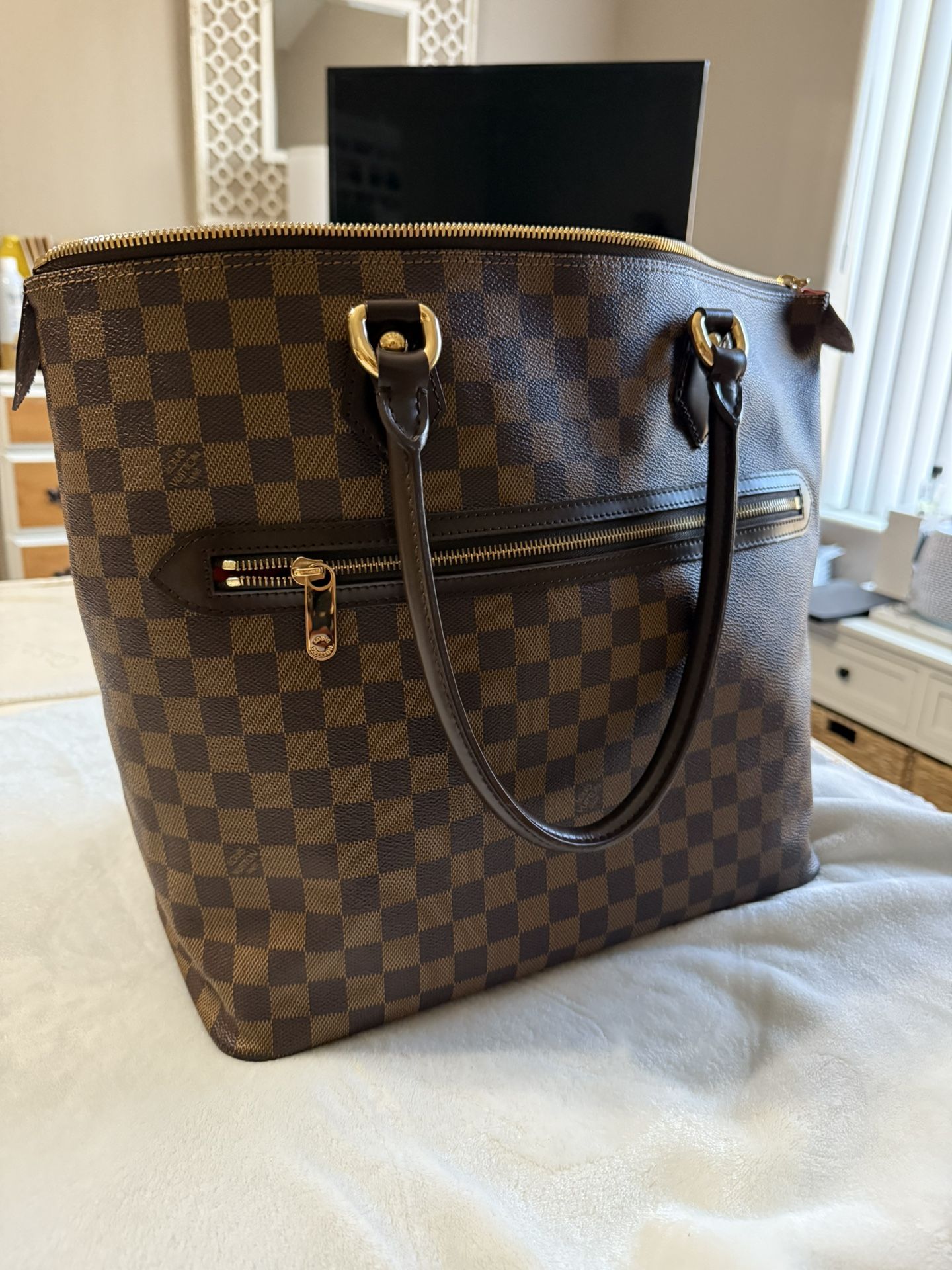 Louis Vuitton Damier Ebene Saleya GM