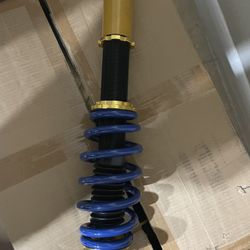 BMW 5-Series Front Struts 