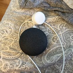 Google Home Mini