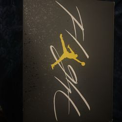 Jordan 4 Retro Thunder 