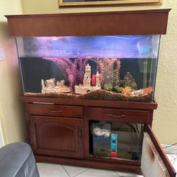 Fish Tank 