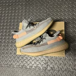 Yeezy 350 True Form 