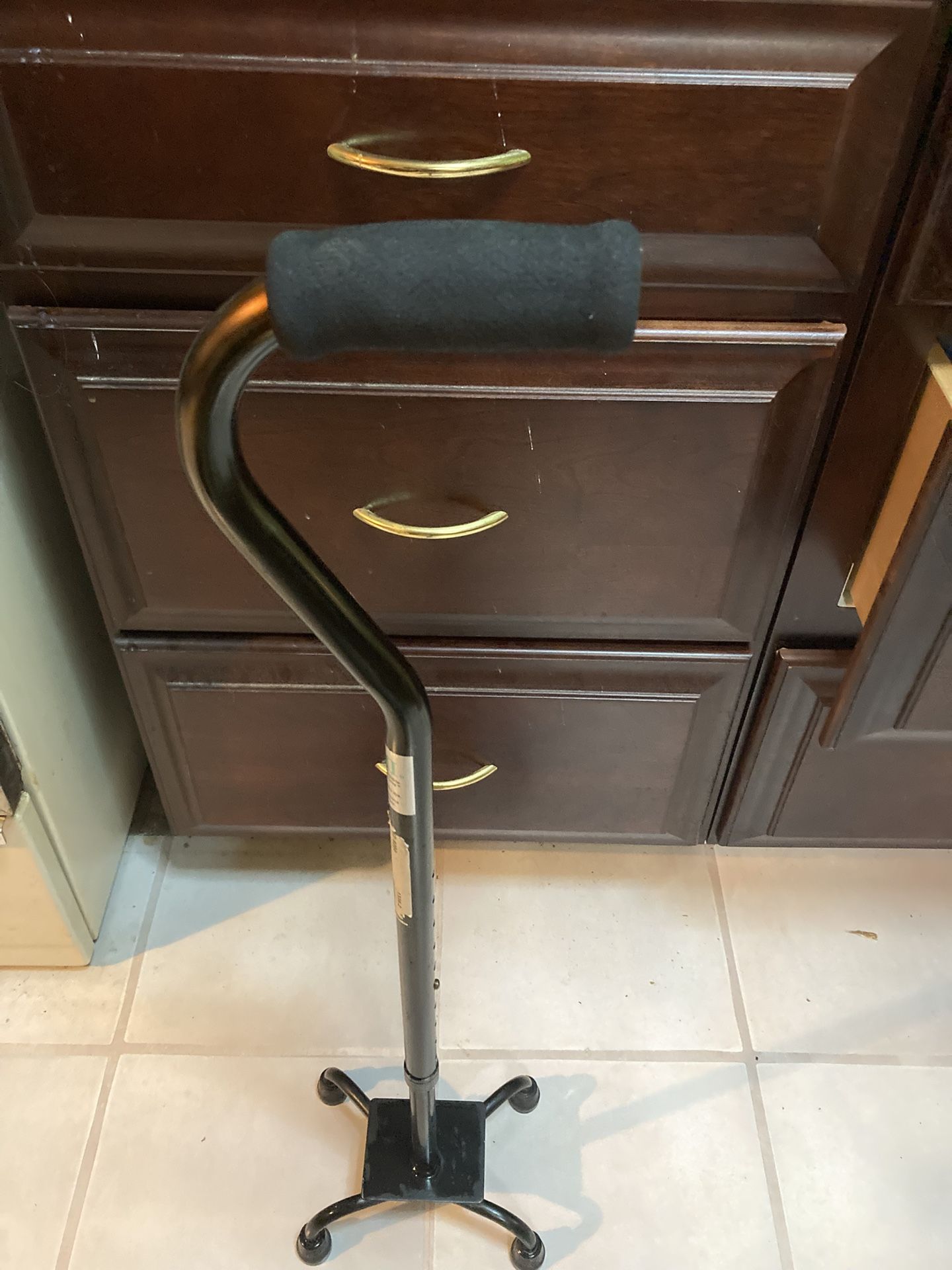 Cane/Walking Aid