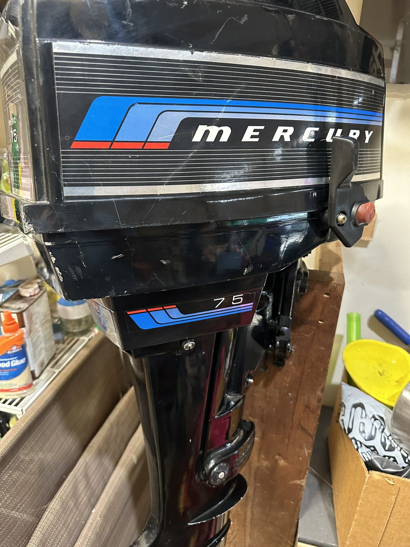 Mercury Outboard Boat Motor