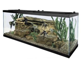 55 GALLON FISH TANK (RETAILS 379$)