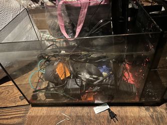 Fluval 12.5 Gallon EVO V Marine Aquarium Kit
