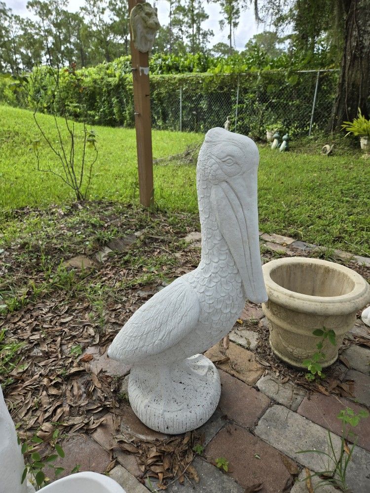 Concrete Pelican