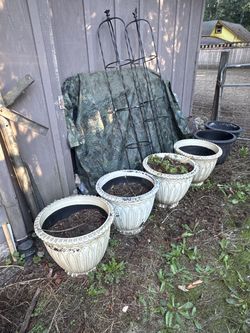 4 Large Pots and 2 Plastic Adjustable Black Plant Cages