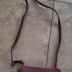 Charming Charlie's Purse