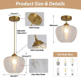 Clear Glass Pendant Light Fixture, 22 cm