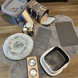 Cat/Kitten Items