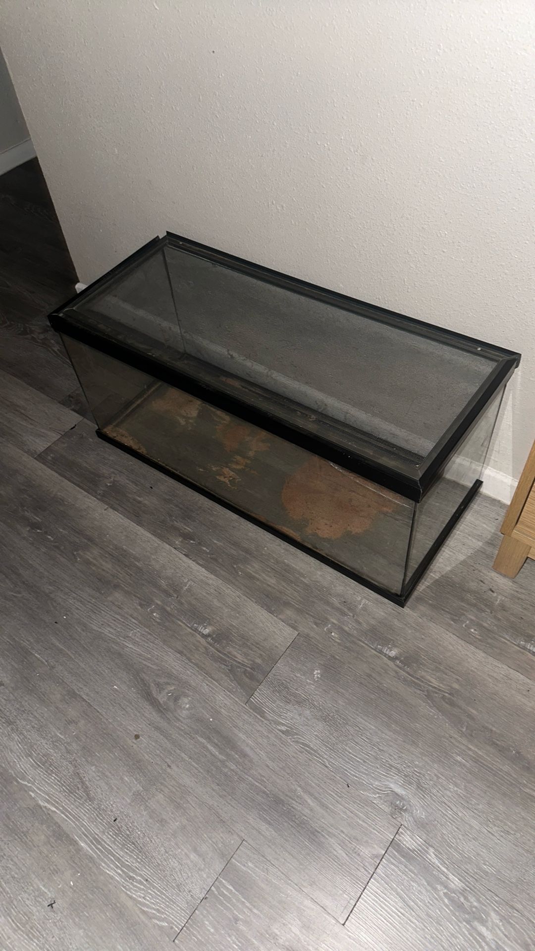 Terrarium