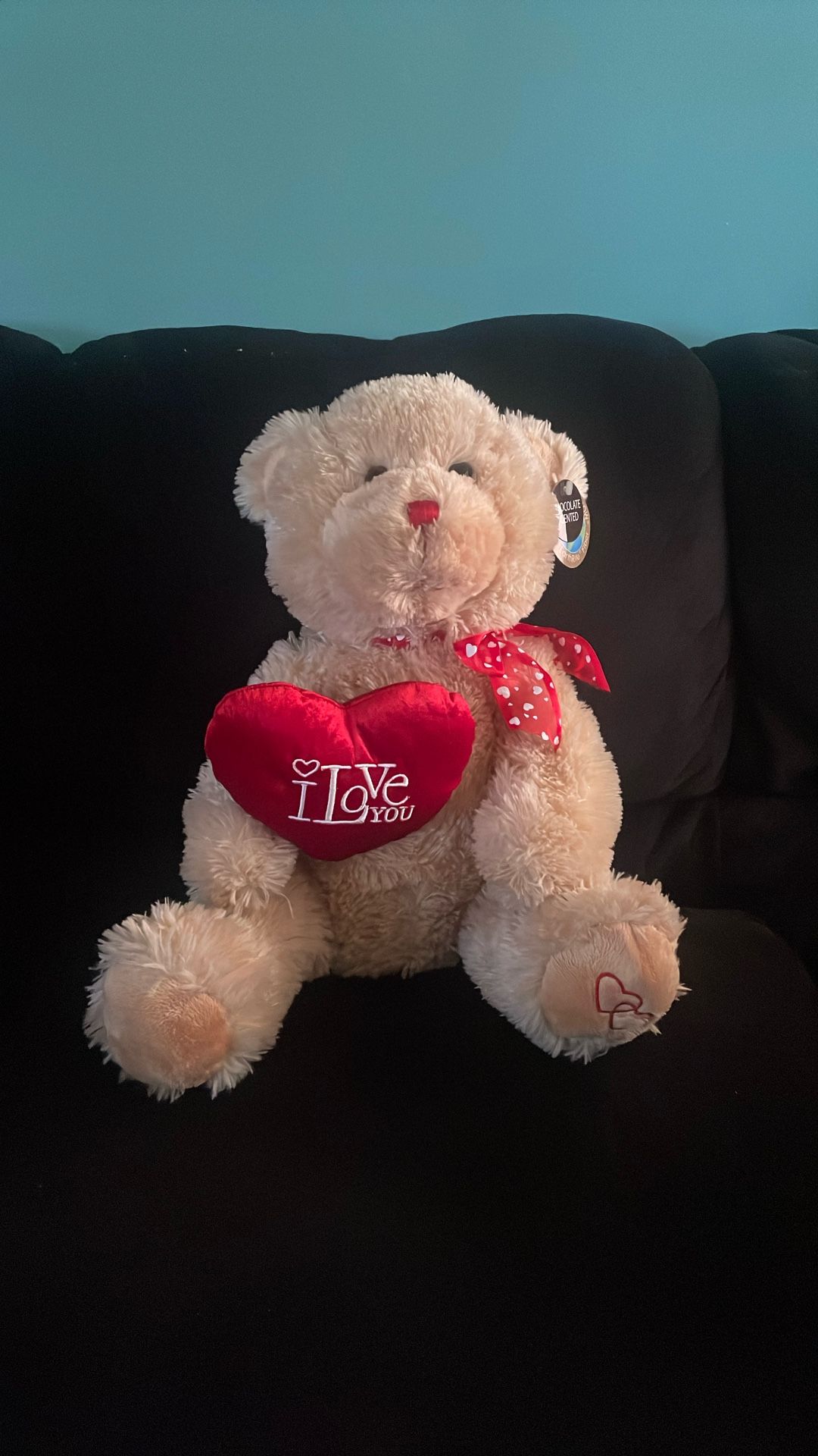 valentines bear