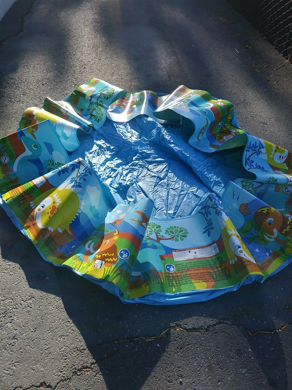 Dinosaur kids pool