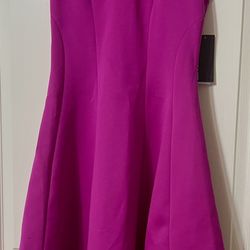 Donna Ricco Pink/Fuchsia Dress