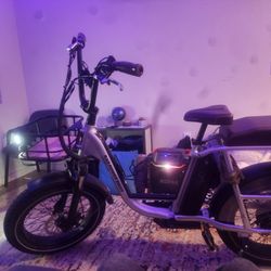 RadRunner™ Plus Electric Cargo Utility Bike