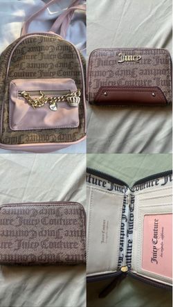 Juicy bag /wallet