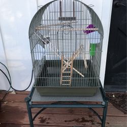 Bird Cage