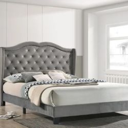 Queen Platform Bed ( Bed Only Brand New Still In Box) 