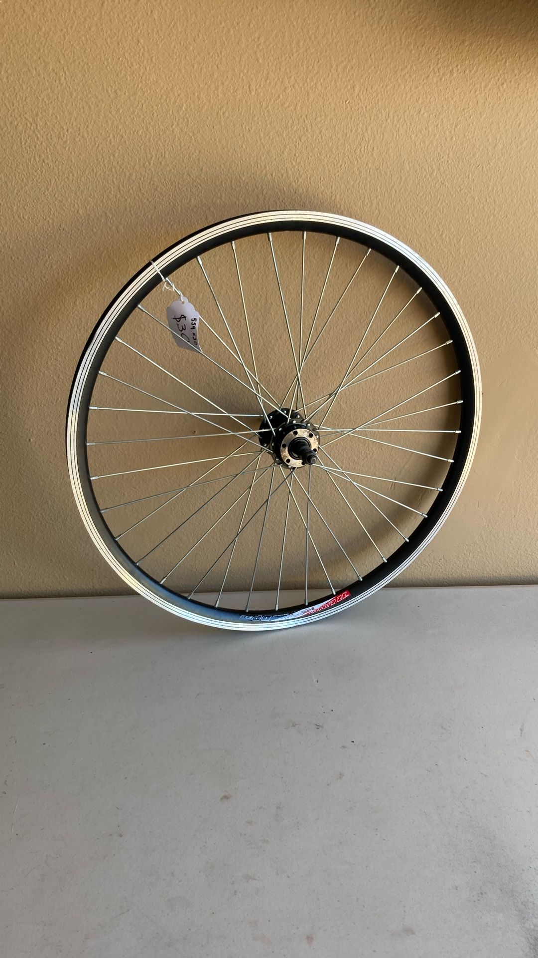 Bicycle Rim (599x20”)