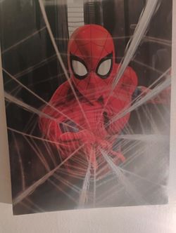 Spider me An Certify marvel On aCanvass