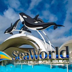 Seaworld Tickets 